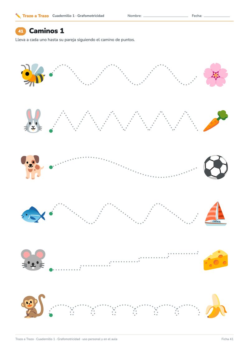 Ficha de caminos